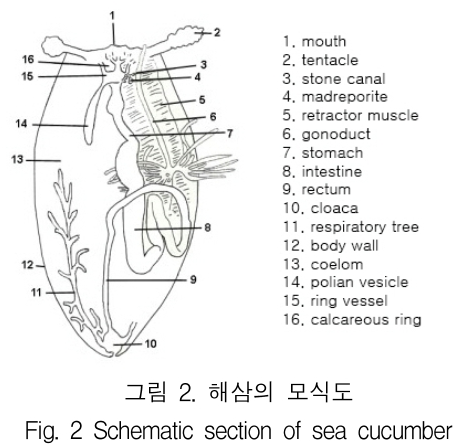 KCTSAD_2018_v13n6_1281_f0002.png 이미지