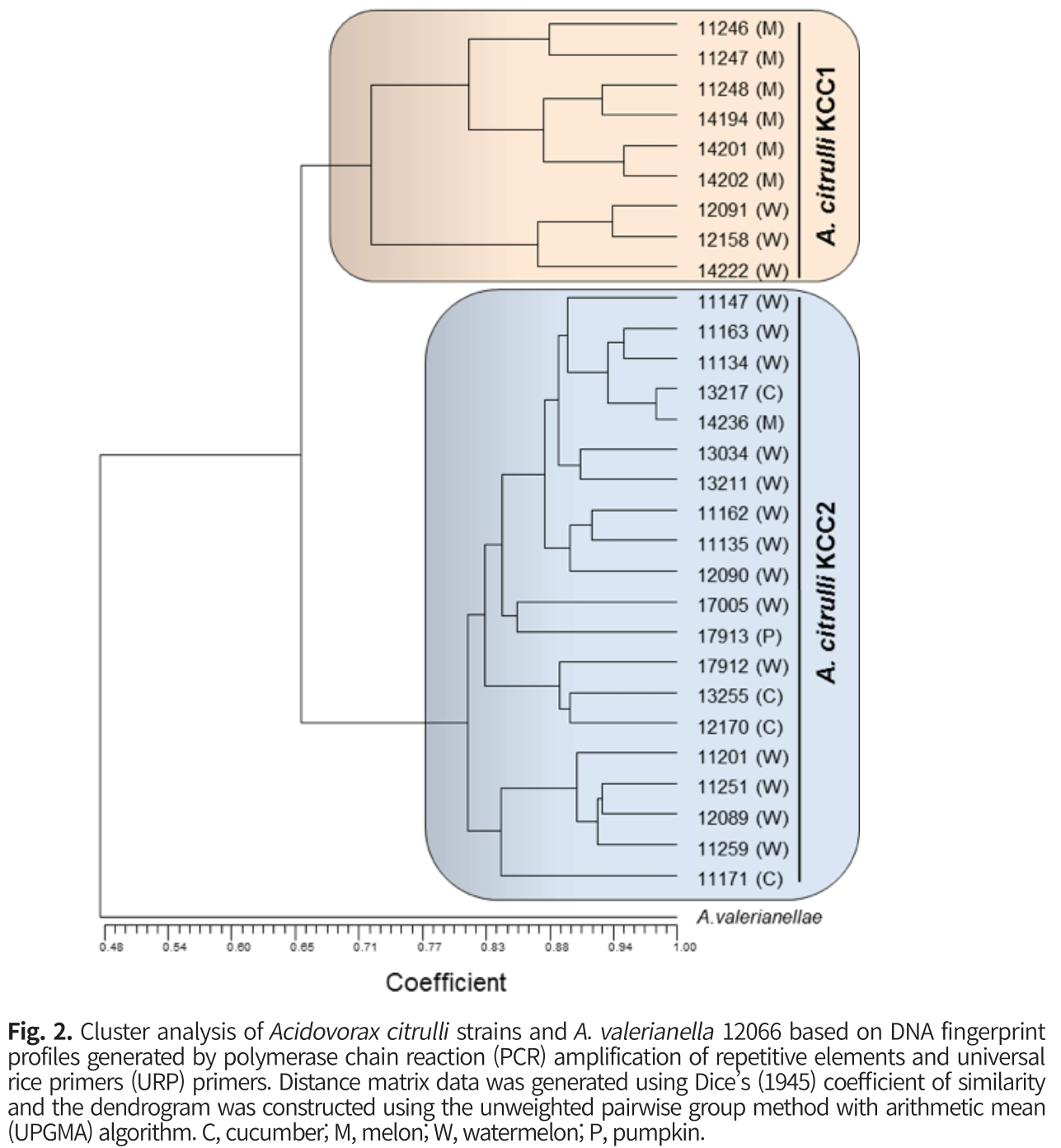 CNNSA3_2018_v45n4_575_f0002.png 이미지