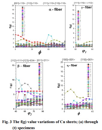 fig.3.jpg 이미지