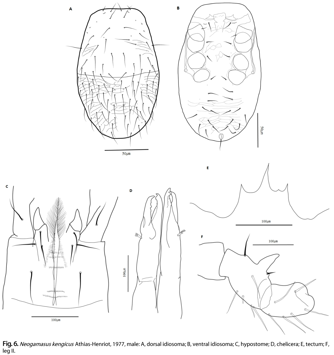 OOGCBV_2019_v58n1_15_f0006.png 이미지