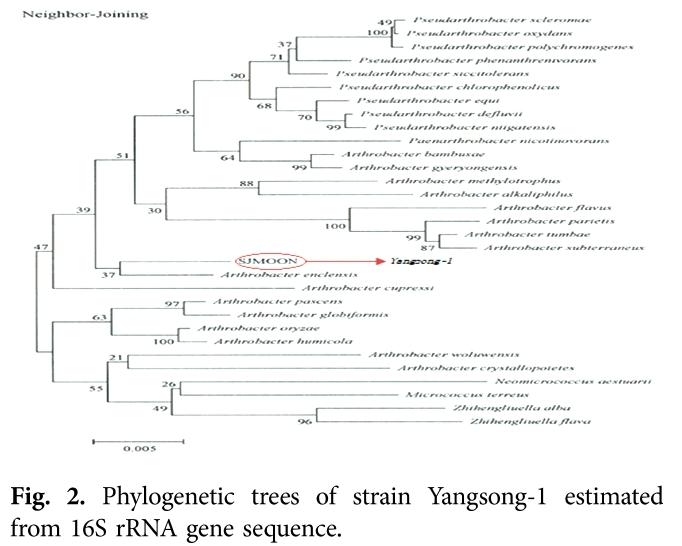 BSHGBD_2019_v17n1_12_f0002.png 이미지