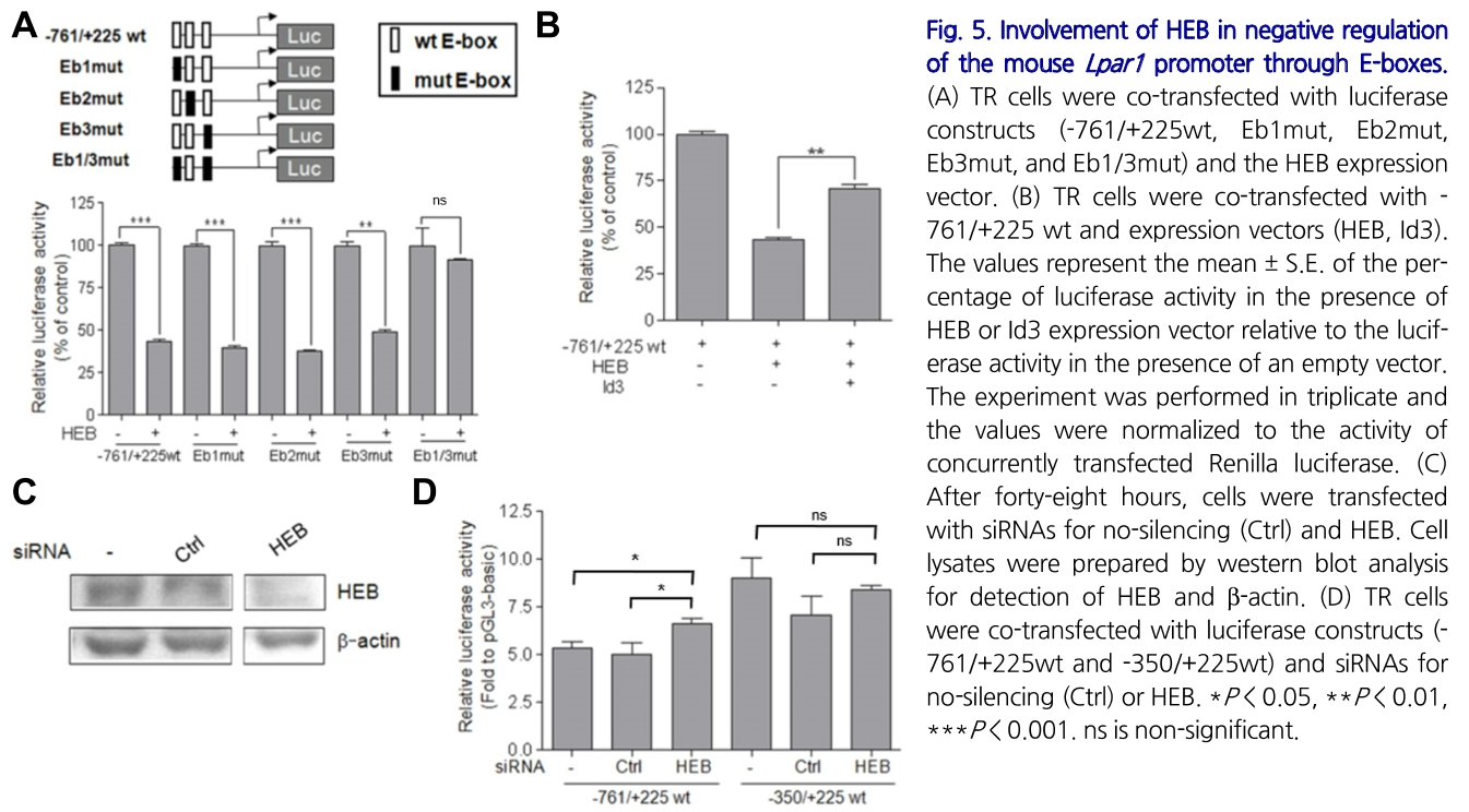 E1BJB7_2019_v42n2_123_f0005.png 이미지