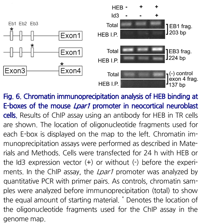 E1BJB7_2019_v42n2_123_f0006.png 이미지