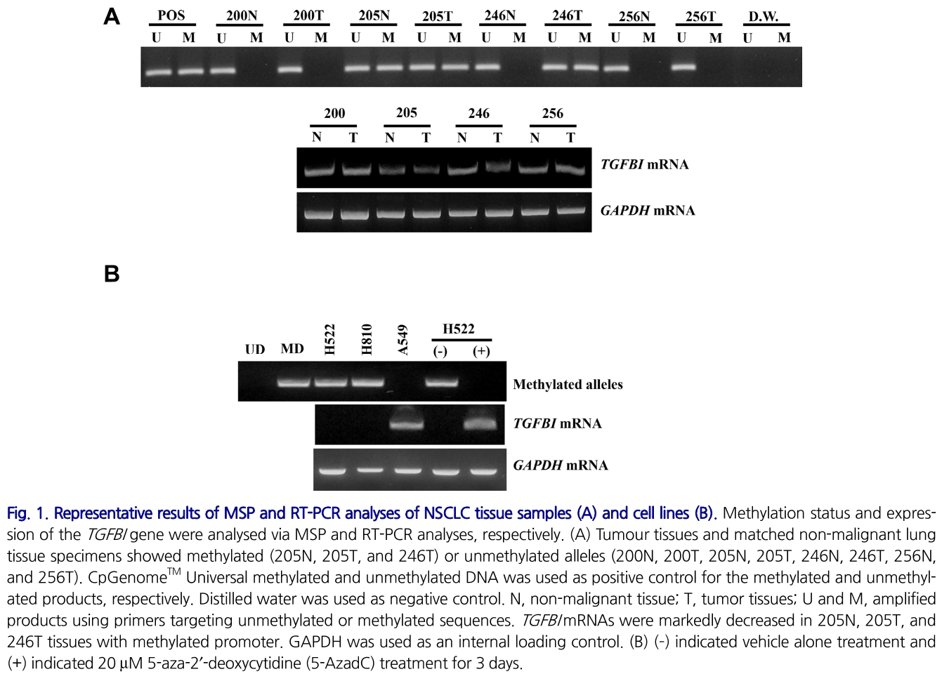 E1BJB7_2019_v42n2_161_f0001.png 이미지