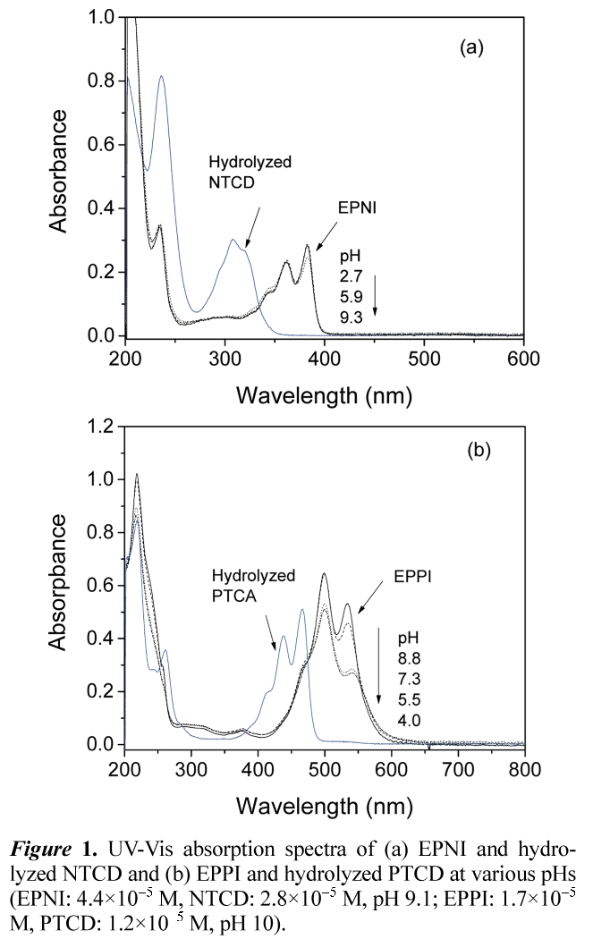 JCGMDC_2019_v63n1_37_f0001.png 이미지