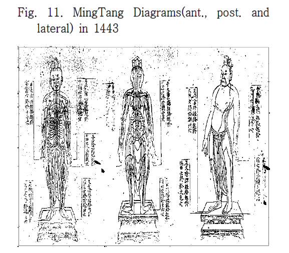 HOOJBM_2019_v32n1_75_f0014.png 이미지