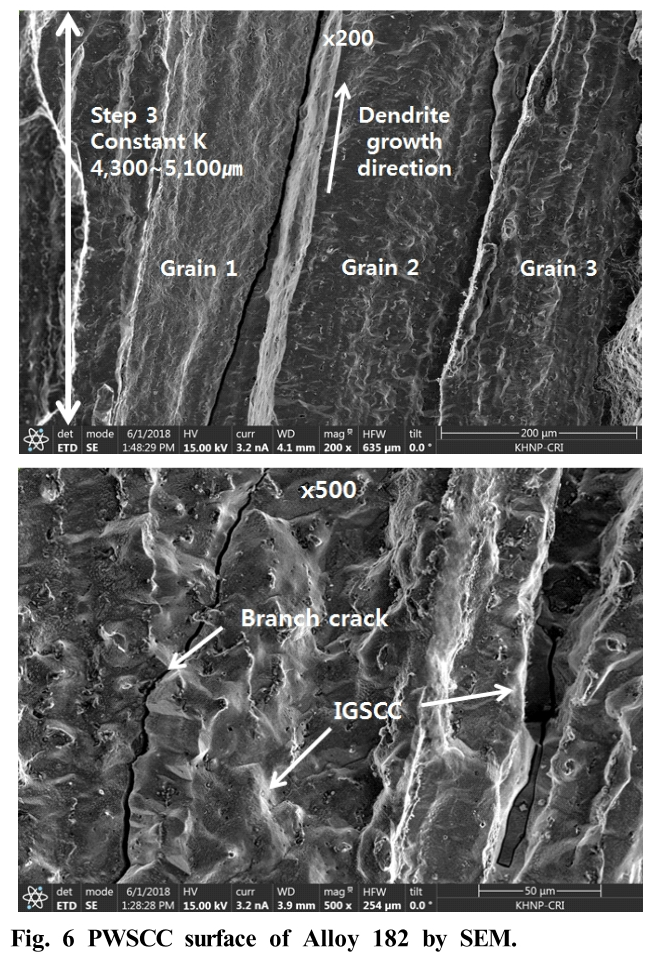 E1COB2_2019_v18n1_33_f0006.png 이미지