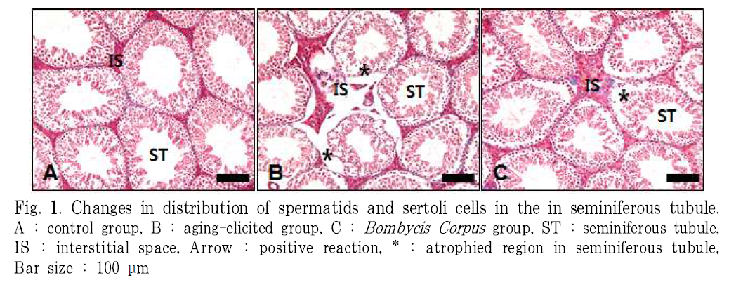 BOGHBE_2019_v32n1_1_f0001.png 이미지