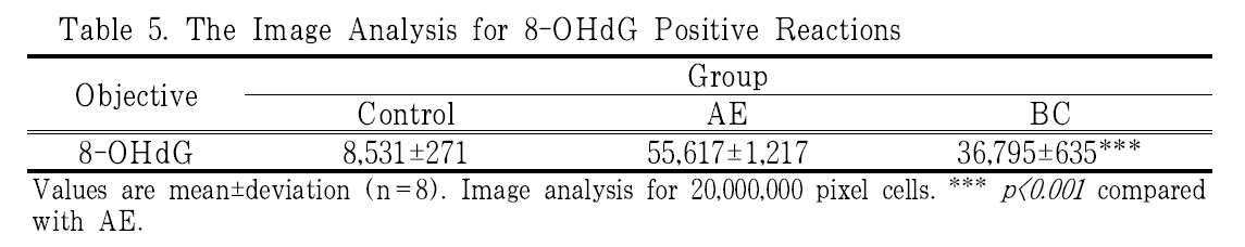 BOGHBE_2019_v32n1_1_t0005.png 이미지