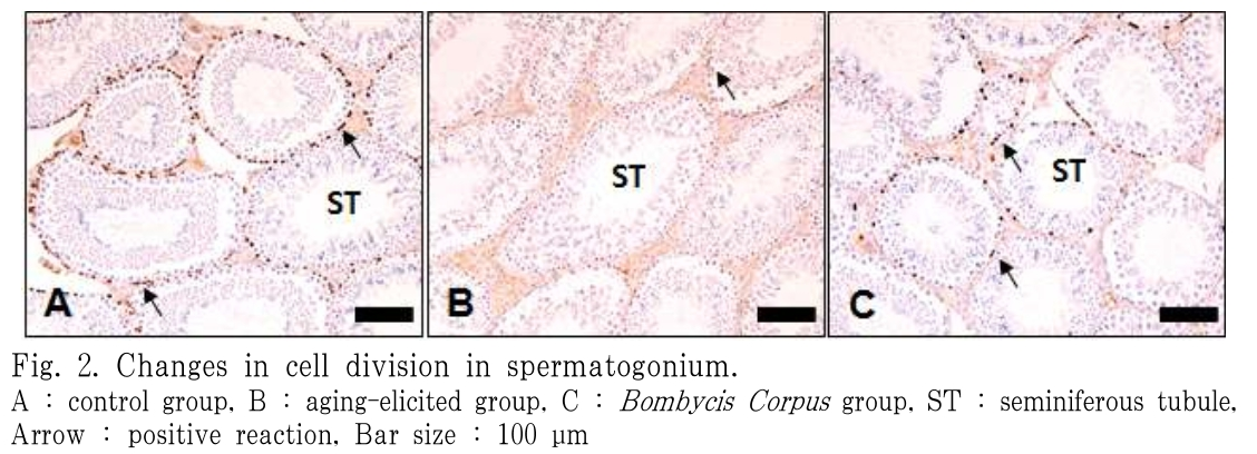 BOGHBE_2019_v32n1_1_f0002.png 이미지