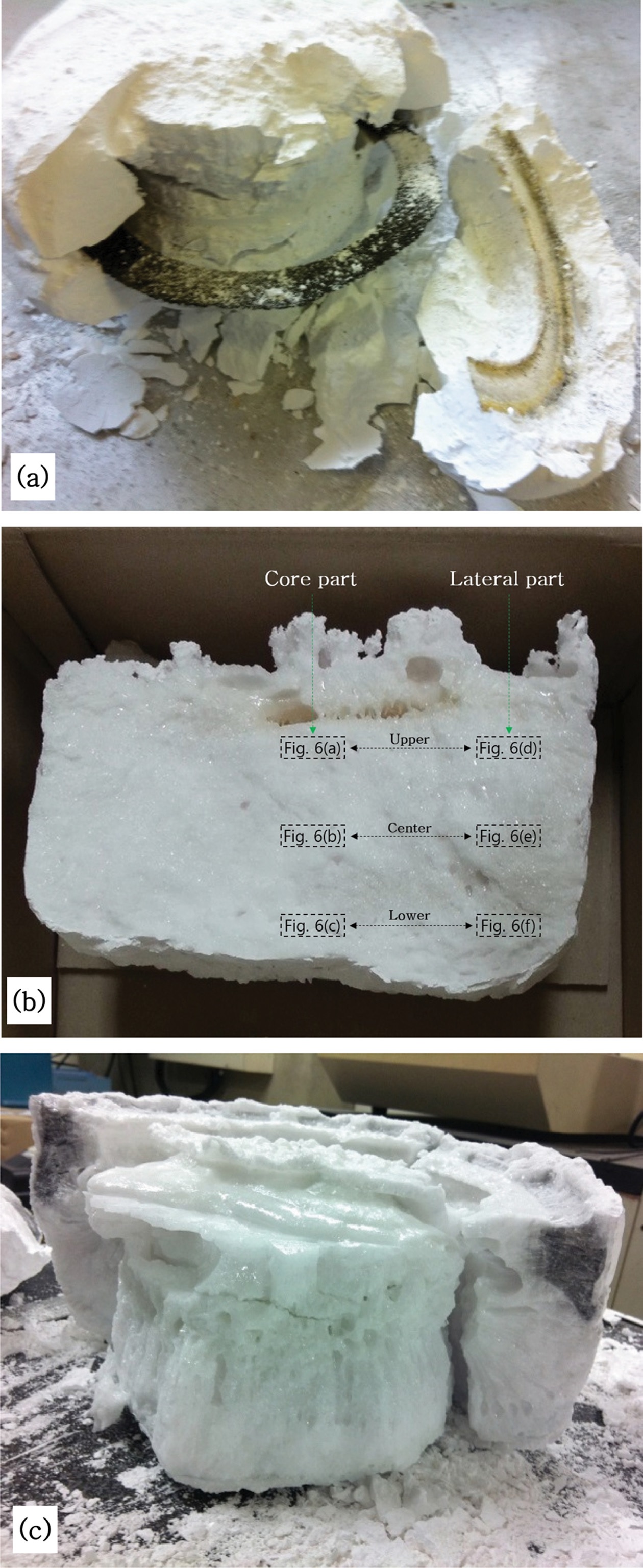 Fig.4.jpg 이미지