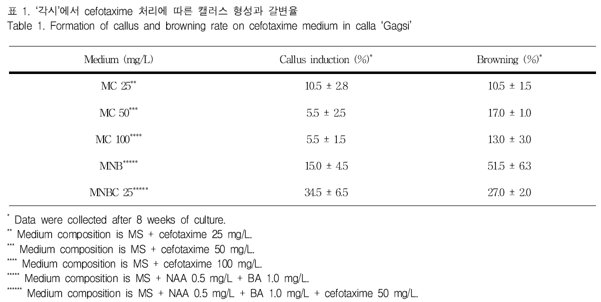 GJMGCK_2019_v5n1_409_t0001.png 이미지