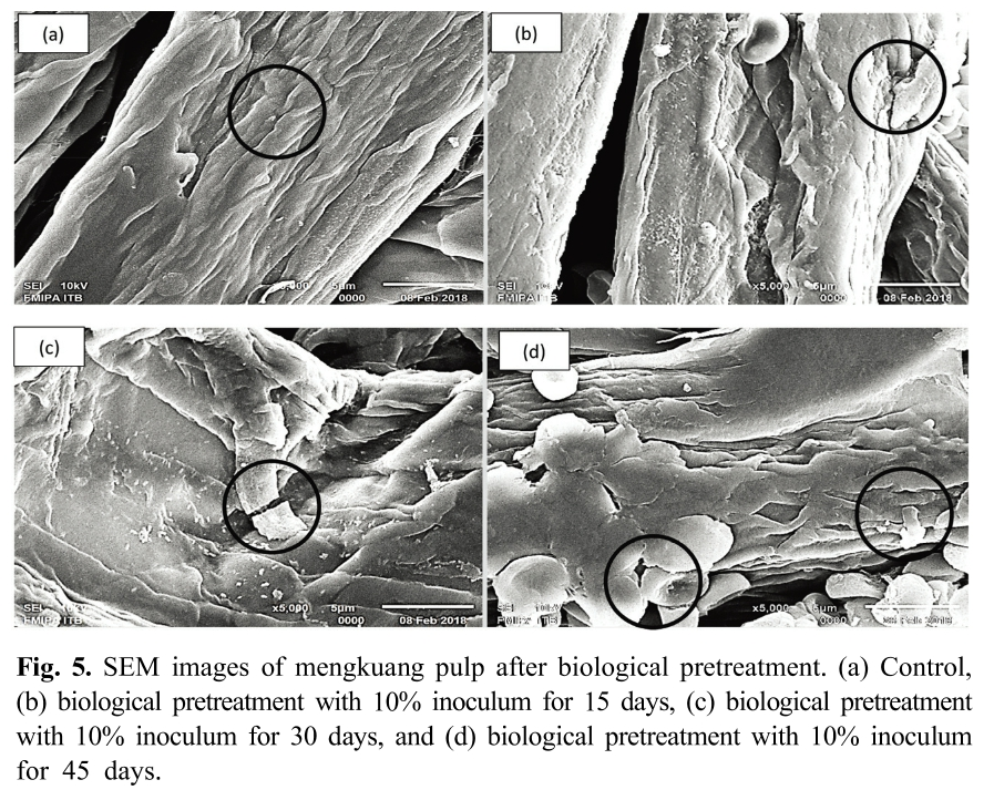 HMJGBP_2019_v47n2_145_f0005.png 이미지