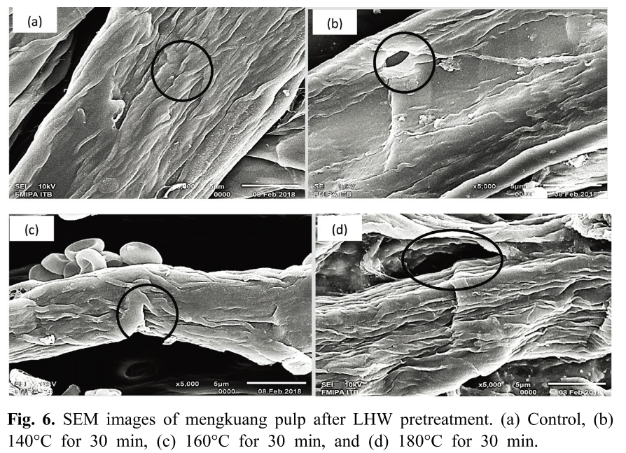 HMJGBP_2019_v47n2_145_f0006.png 이미지