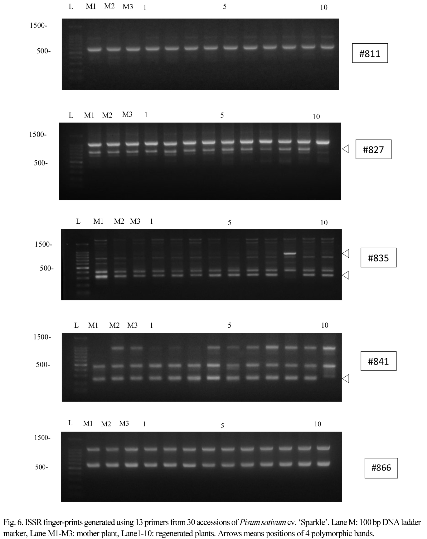 JOSMBA_2019_v32n1_19_f0006.png 이미지