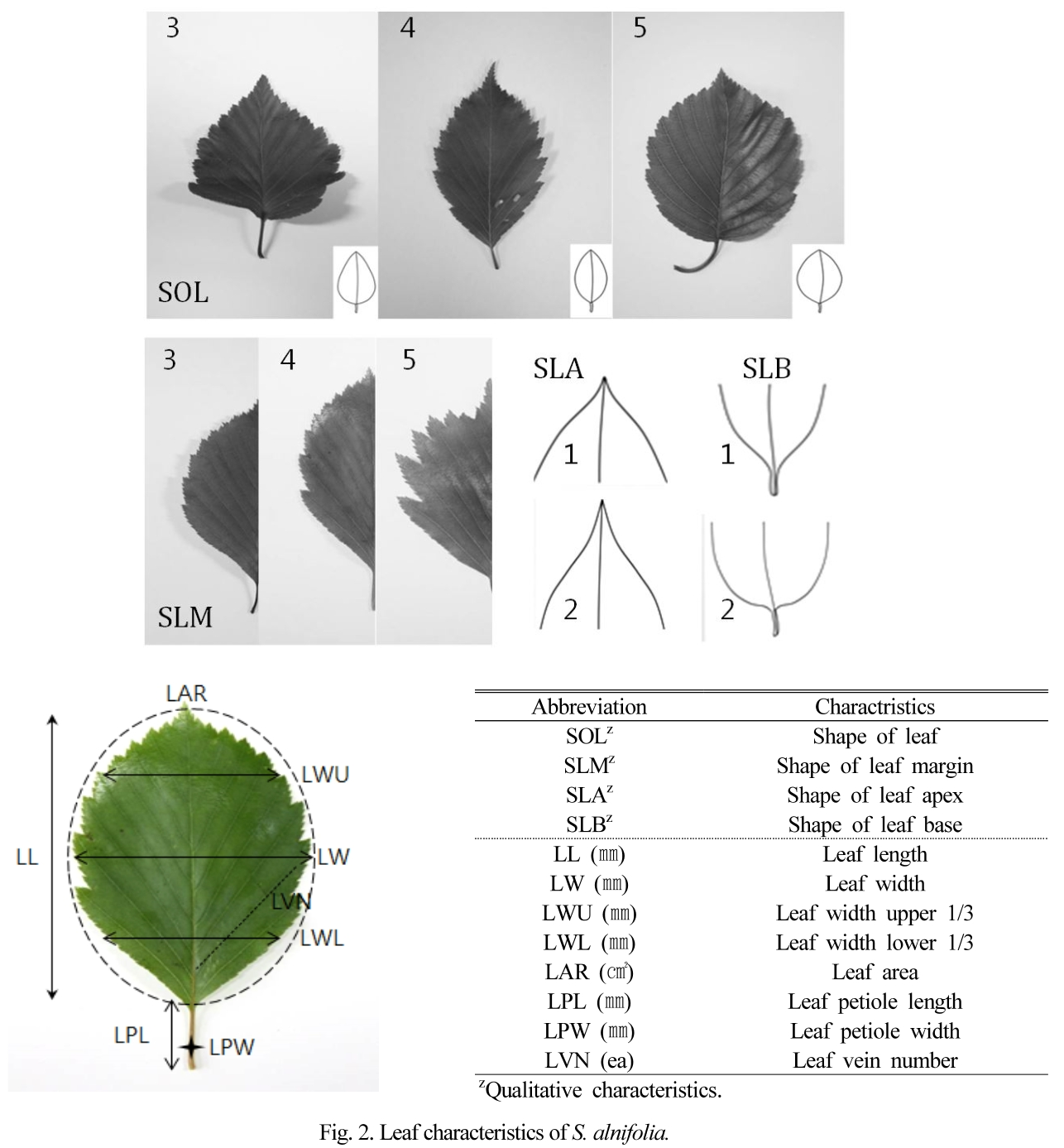 JOSMBA_2019_v32n1_29_f0002.png 이미지