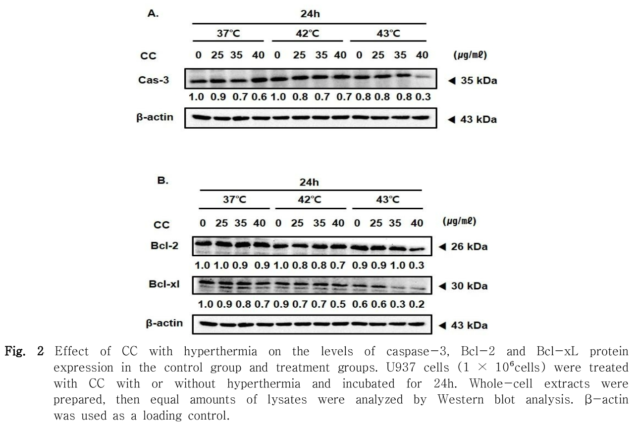 HBBJBB_2019_v27n1_45_f0003.png 이미지