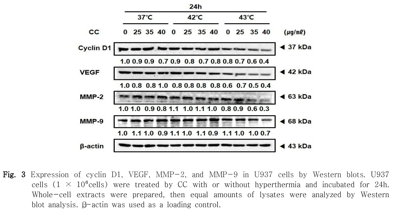 HBBJBB_2019_v27n1_45_f0004.png 이미지