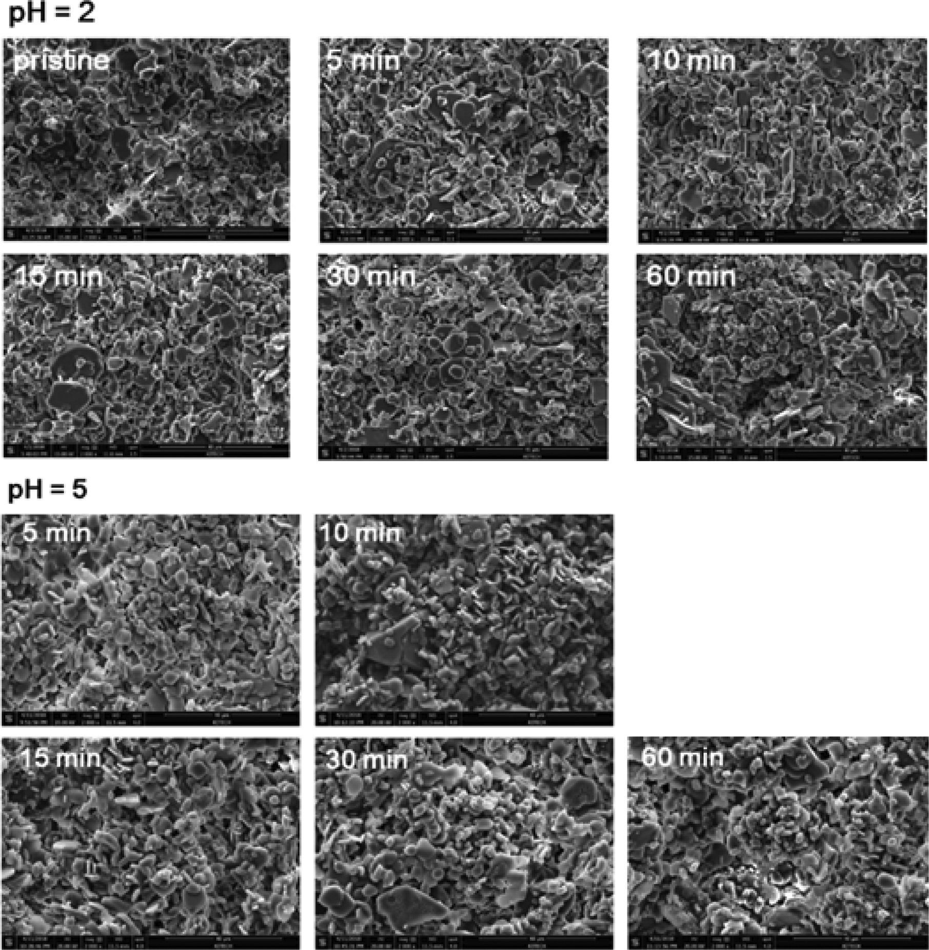 Fig.4.jpg 이미지