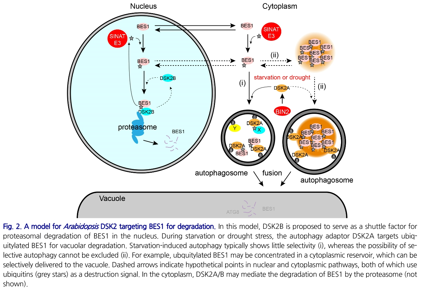 E1BJB7_2019_v42n4_285_f0002.png 이미지