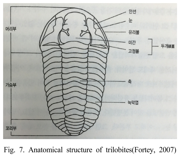 KHGOB1_2019_v12n1_40_f0006.png 이미지