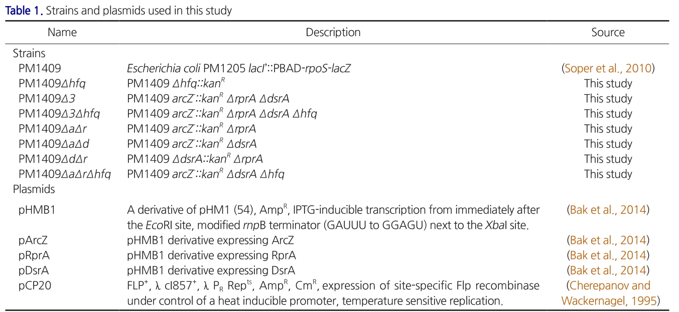 E1BJB7_2019_v42n5_426_t0001.png 이미지