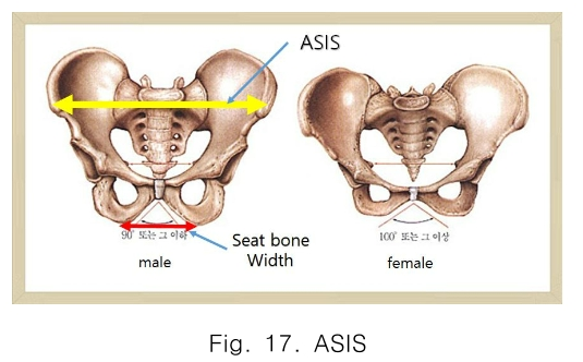 CPTSCQ_2019_v24n5_93_f0017.png 이미지