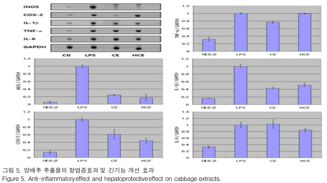 GJMGCK_2019_v5n2_389_f0007.png 이미지