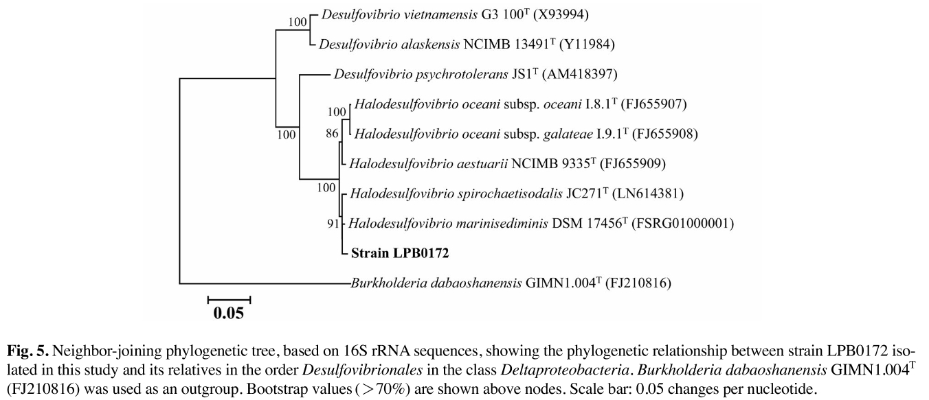 JOSRB5_2019_v8n2_161_f0005.png 이미지