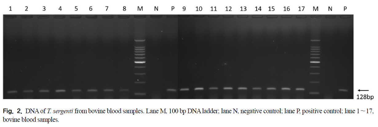 GCOSBX_2019_v42n2_113_f0001.png 이미지