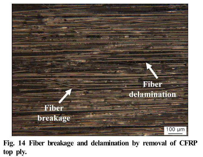 E1COB2_2019_v18n3_92_f0014.png 이미지