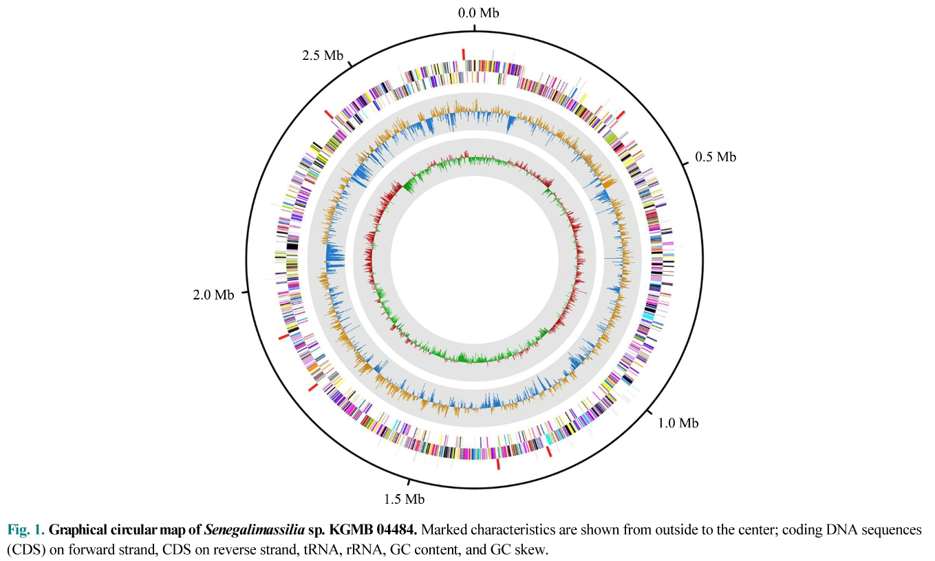 MSMHBQ_2019_v55n2_160_f0001.png 이미지