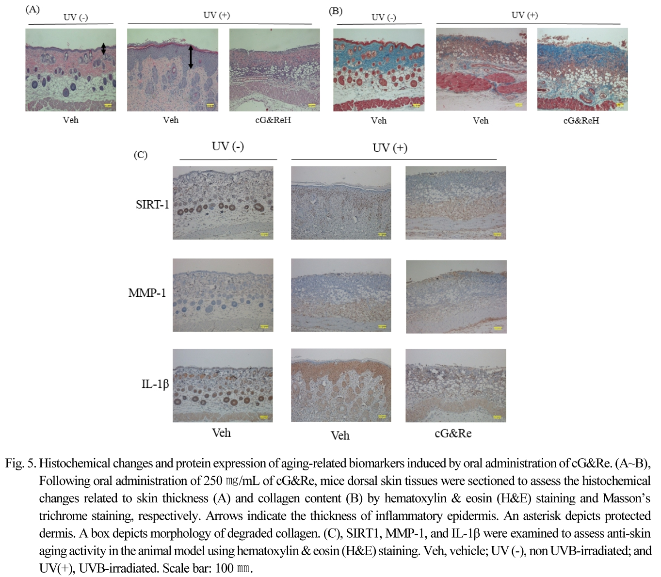 JOSMBA_2019_v32n3_207_f0005.png 이미지