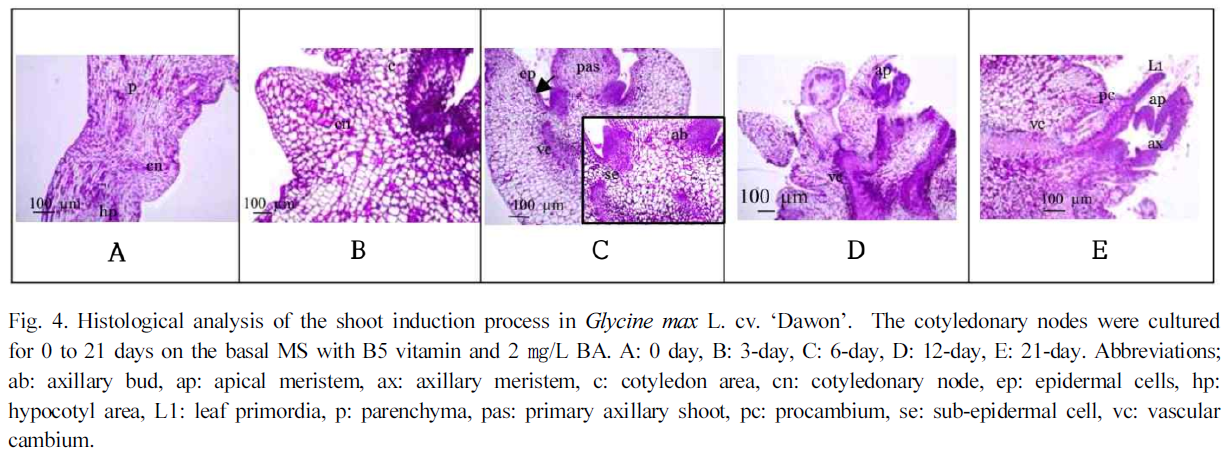 JOSMBA_2019_v32n3_237_f0004.png 이미지