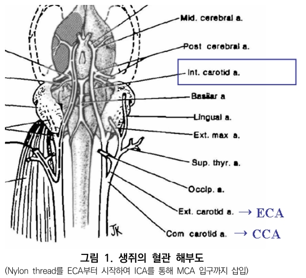 CCTHCV_2019_v19n7_186_f0001.png 이미지