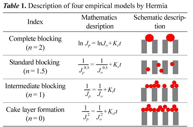 JCGMDC_2019_v63n4_260_t0001.png 이미지