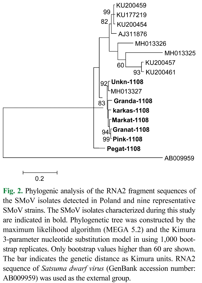 E1PPBG_2019_v35n4_389_f0002.png 이미지