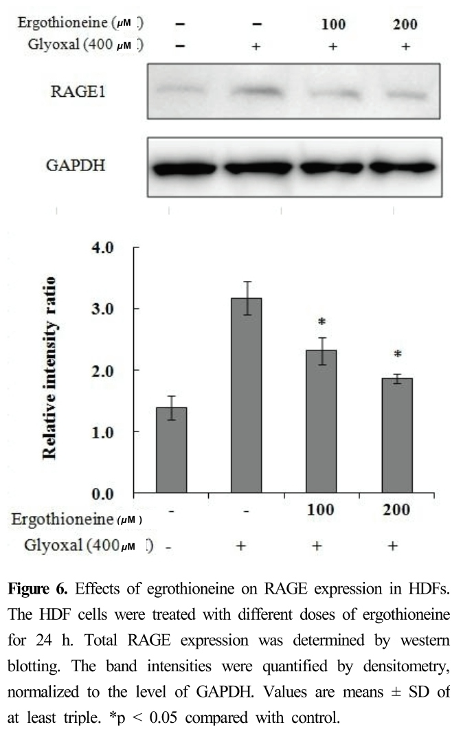 HJPHBN_2019_v45n2_151_f0005.png 이미지