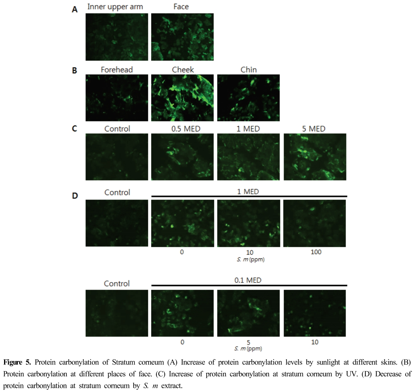 HJPHBN_2019_v45n2_209_f0005.png 이미지