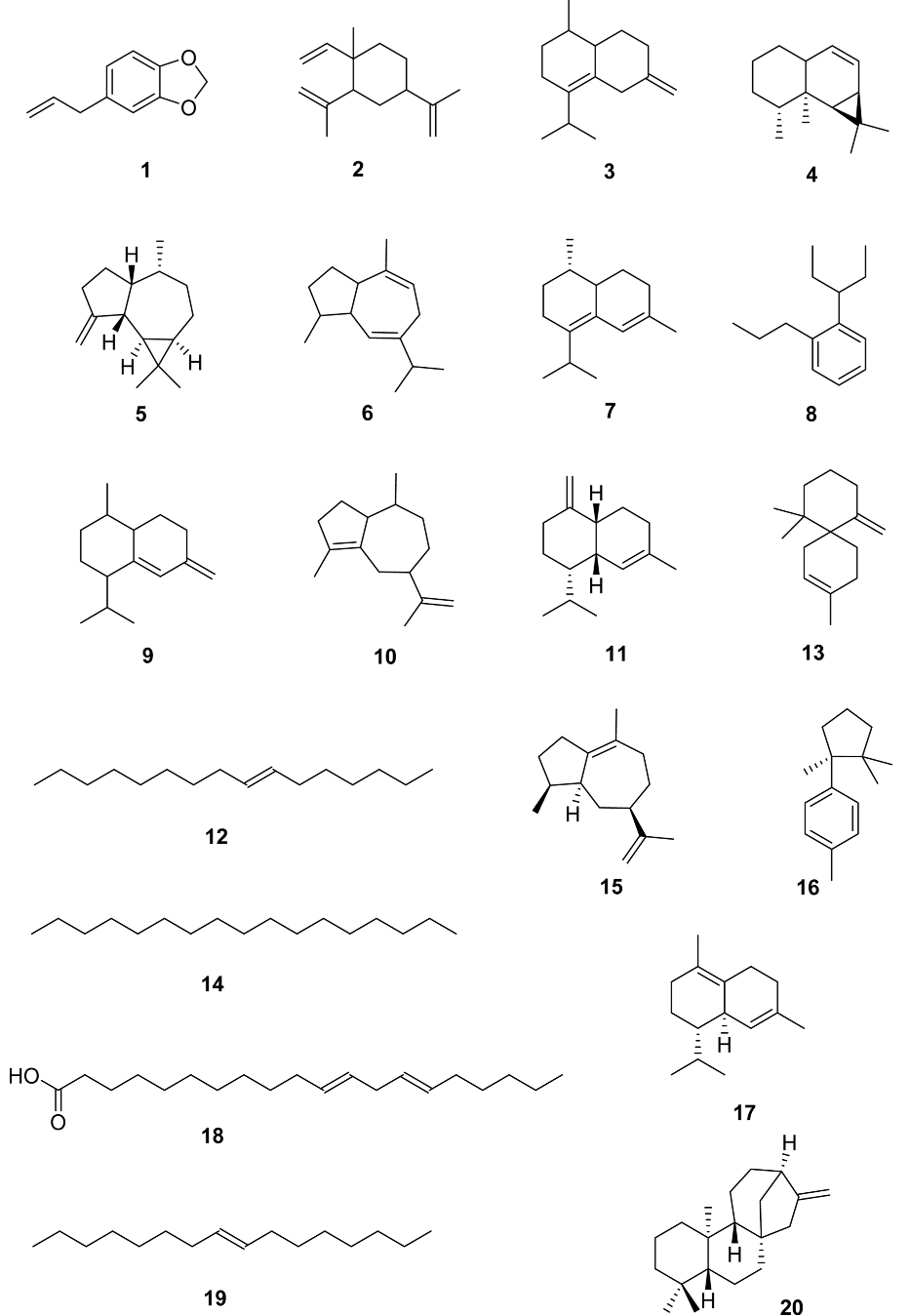 HKSOBF_2020_v51n4_264_f0001.png 이미지