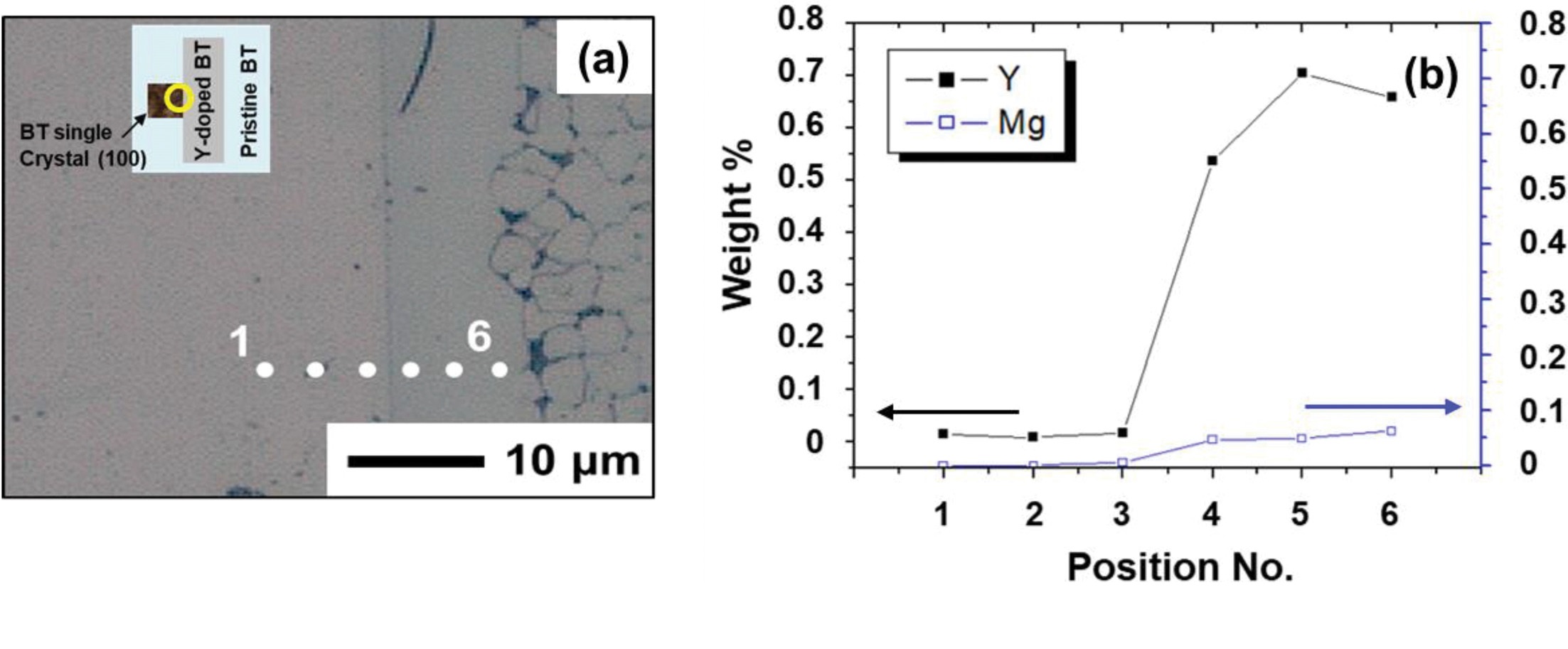 Fig.2.jpg 이미지