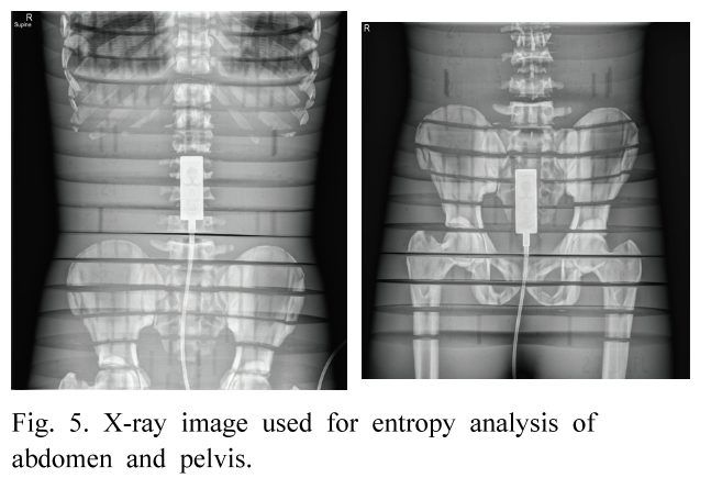 BSSHB5_2020_v14n4_375_f0005.png 이미지