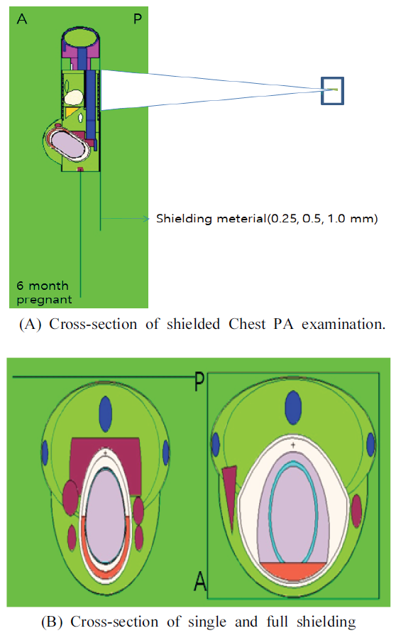 BSSHB5_2020_v14n5_661_f0002.png 이미지