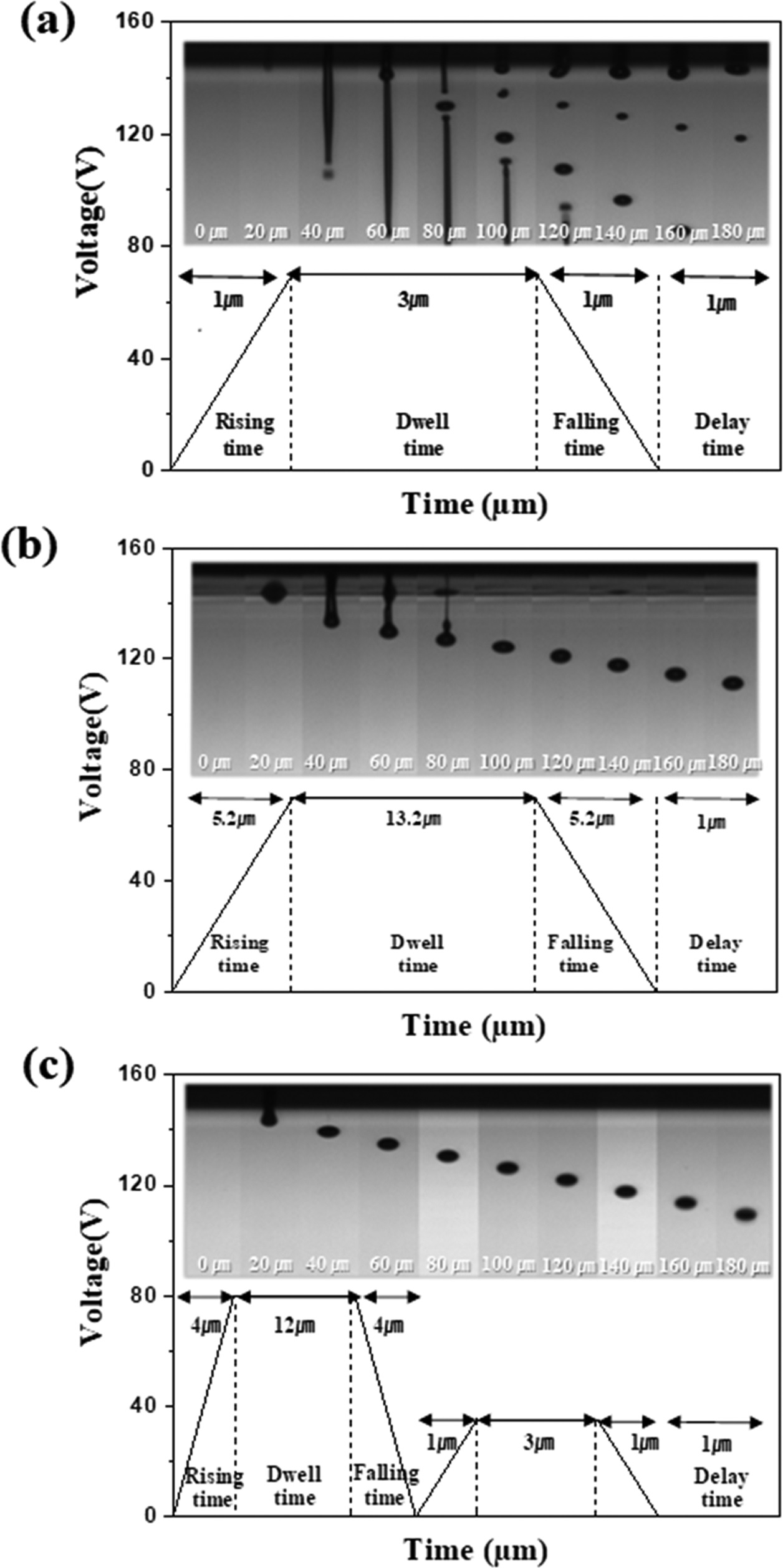 Fig.2.jpg 이미지