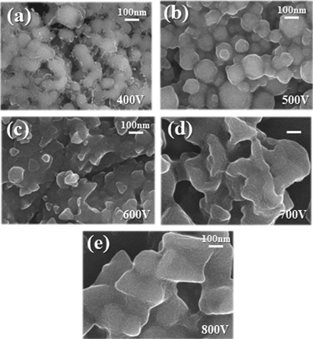 Fig.7.jpg 이미지