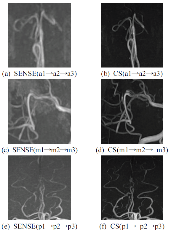 BSSHB5_2021_v15n7_999_f0002.png 이미지