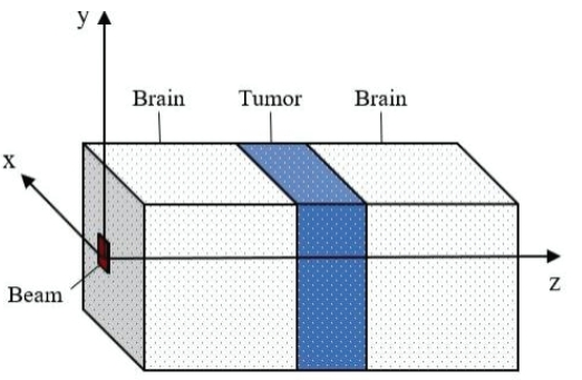 BSSHB5_2021_v15n6_771_f0001.png 이미지