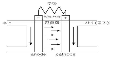 OTNBBE_2021_v21n6_129_f0002.png 이미지