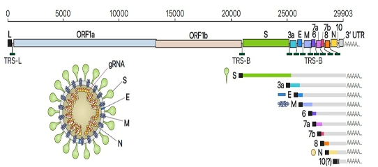 CCTHCV_2021_v21n1_465_f0002.png 이미지