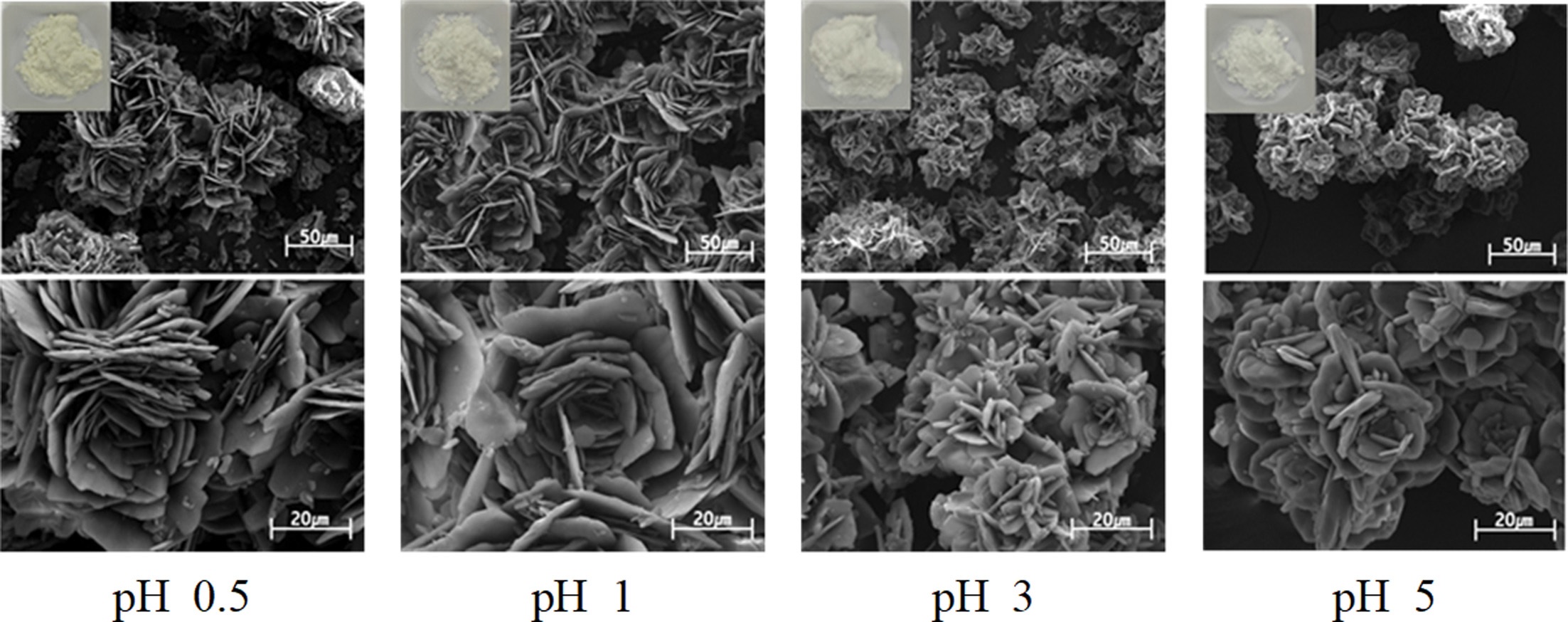 Fig.6.jpg 이미지